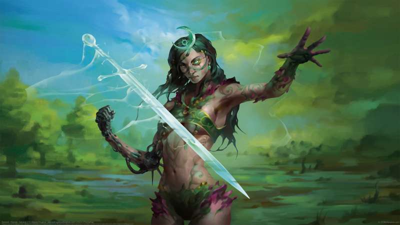 Berserk. Heroes. General 2 fondo de escritorio