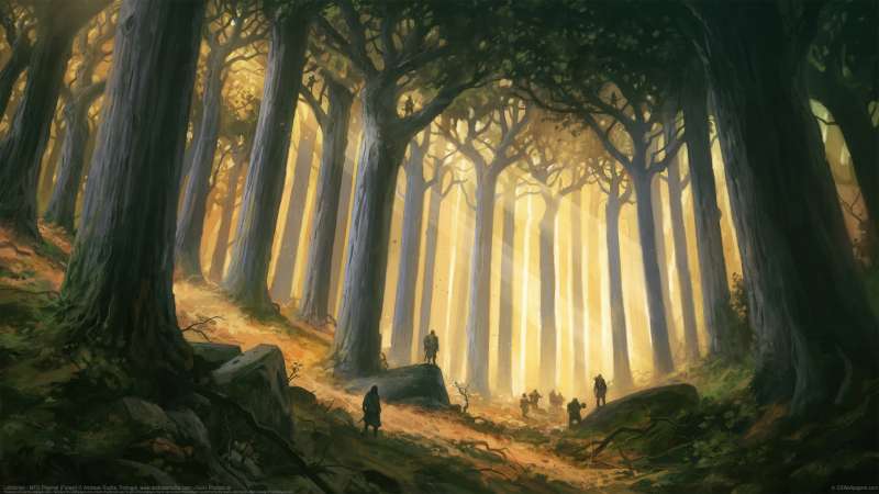 Lothl�rien - MTG Playmat (Forest) fondo de escritorio