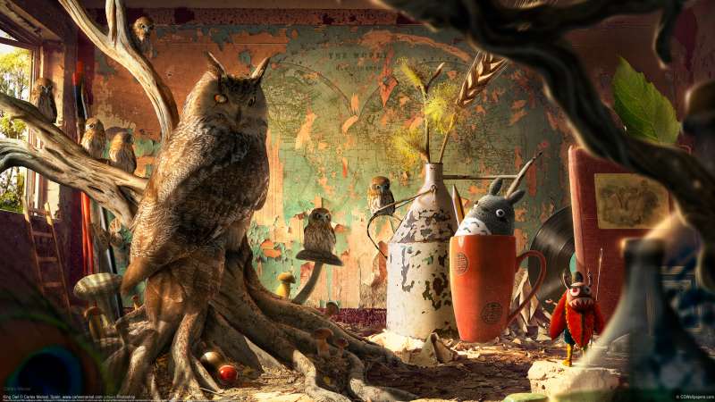 King Owl fondo de escritorio