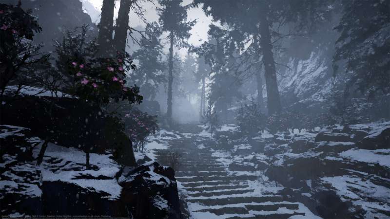 Kaidan: Project Hottan - Forest Path fondo de escritorio