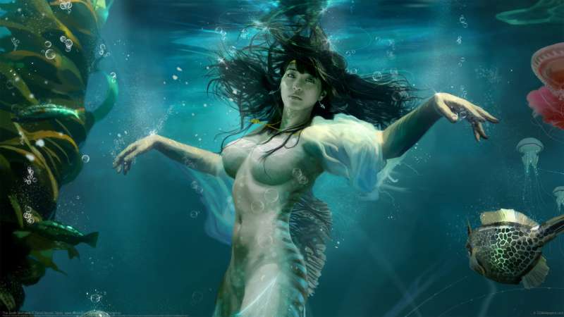 The South Mermaids fondo de escritorio