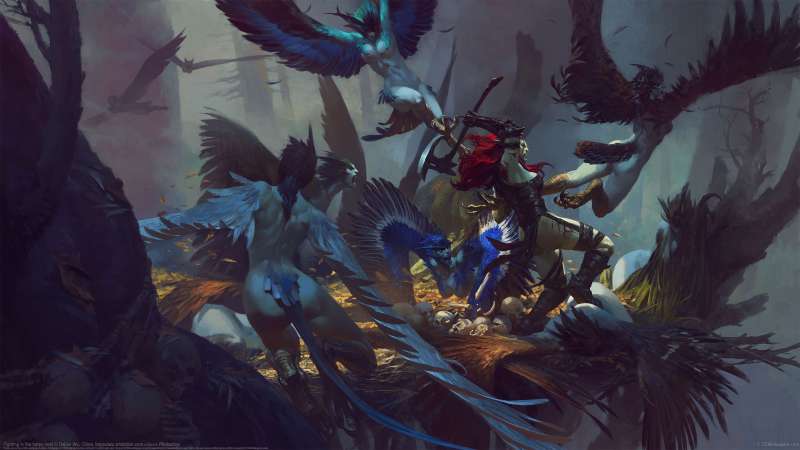 Fighting in the harpy nest  fondo de escritorio