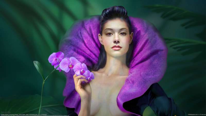 Purple Orchid fondo de escritorio