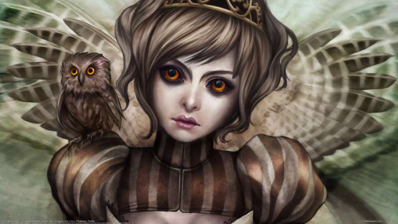 The Owl Princess fondo de escritorio
