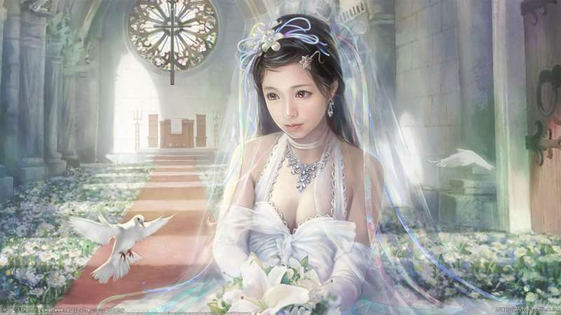 Bride fondo de escritorio