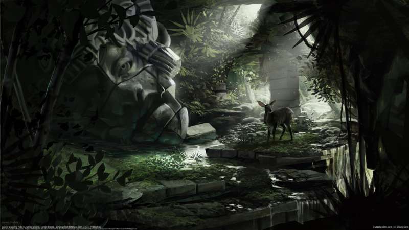 Secret watering hole fondo de escritorio