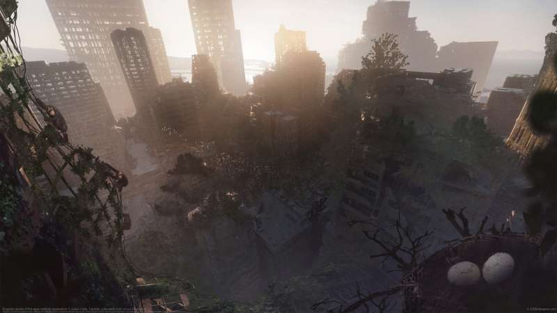 Kingdom planet of the apes concept exploration fondo de escritorio