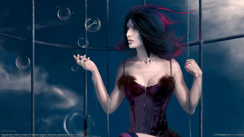 Paradise Bird's Dream of Freedom fondo de escritorio