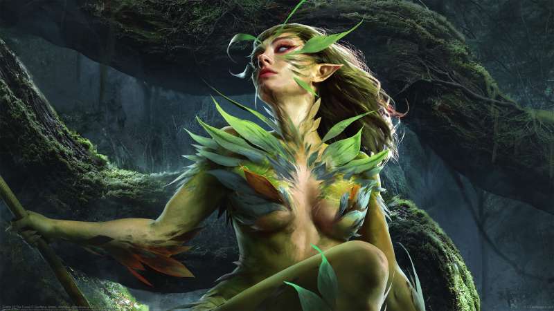 Sirens Of The Forest fondo de escritorio