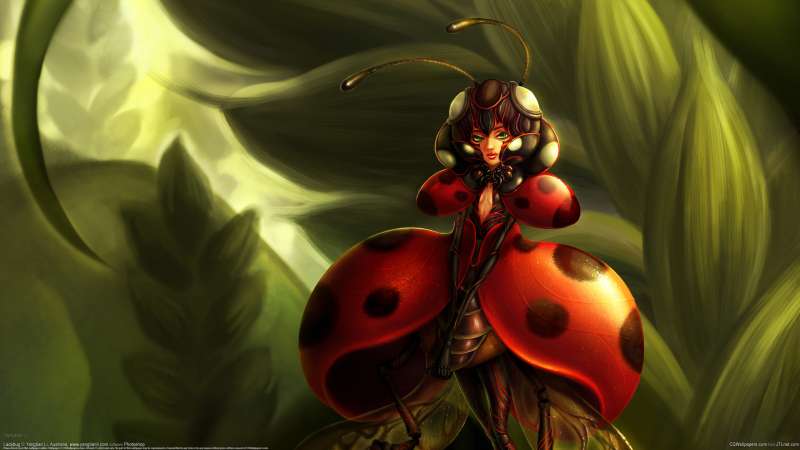 Ladybug fondo de escritorio