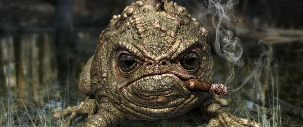 Grumpy frog ultra ancha fondo de escritorio
