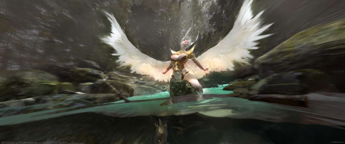 Golden Angel ultra ancha fondo de escritorio