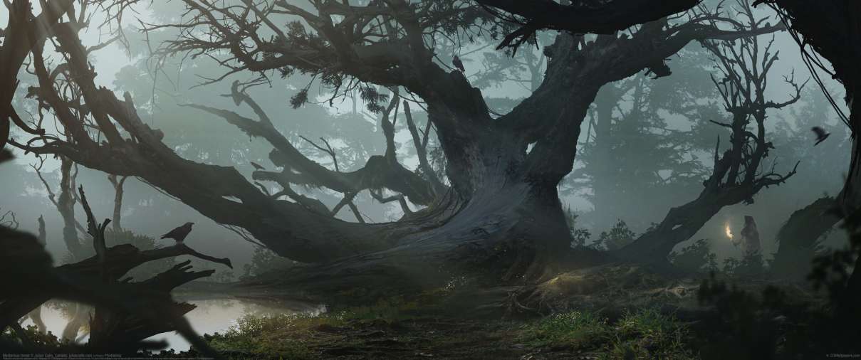 Mysterious forest ultra ancha fondo de escritorio