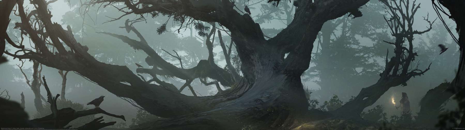Mysterious forest ultra ancha fondo de escritorio