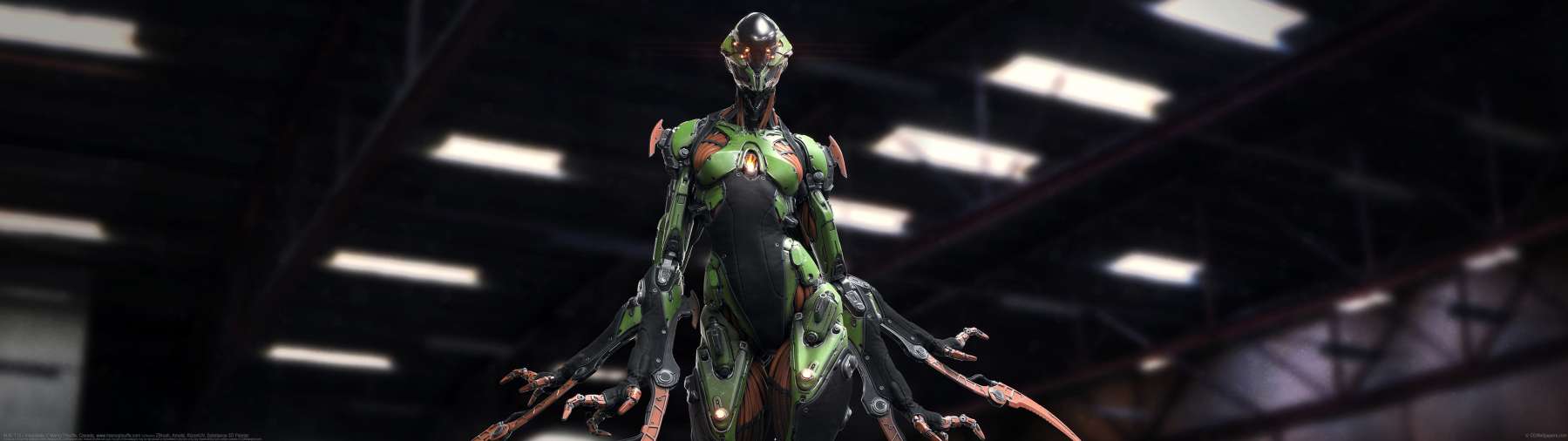 M.N.-T15 / Insectoids ultra ancha fondo de escritorio