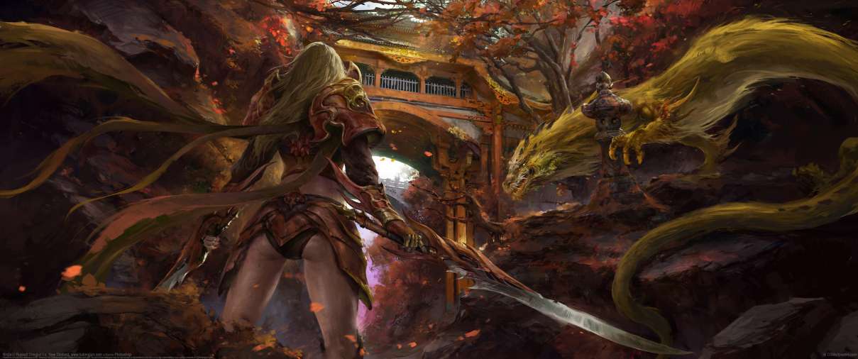 Ninjia ultra ancha fondo de escritorio