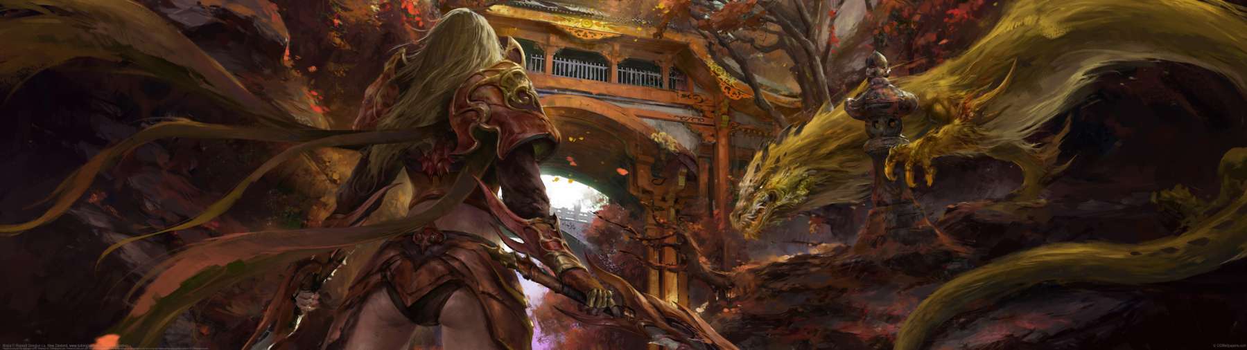 Ninjia ultra ancha fondo de escritorio