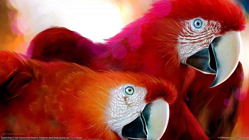 Scarlet Birds fondo de escritorio