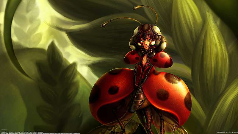 Ladybug fondo de escritorio