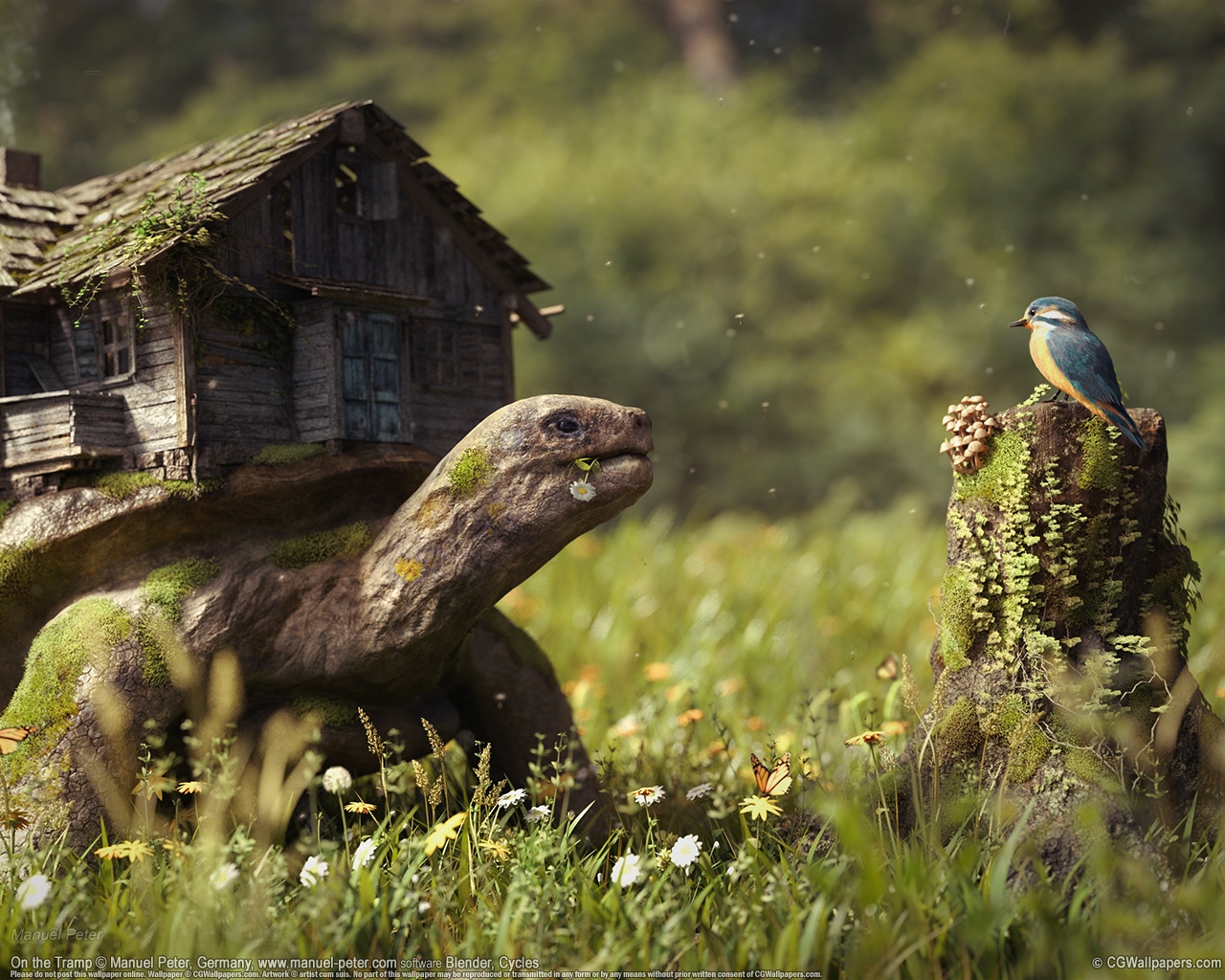 Manuel Peter 1280 fondo de escritorio 02