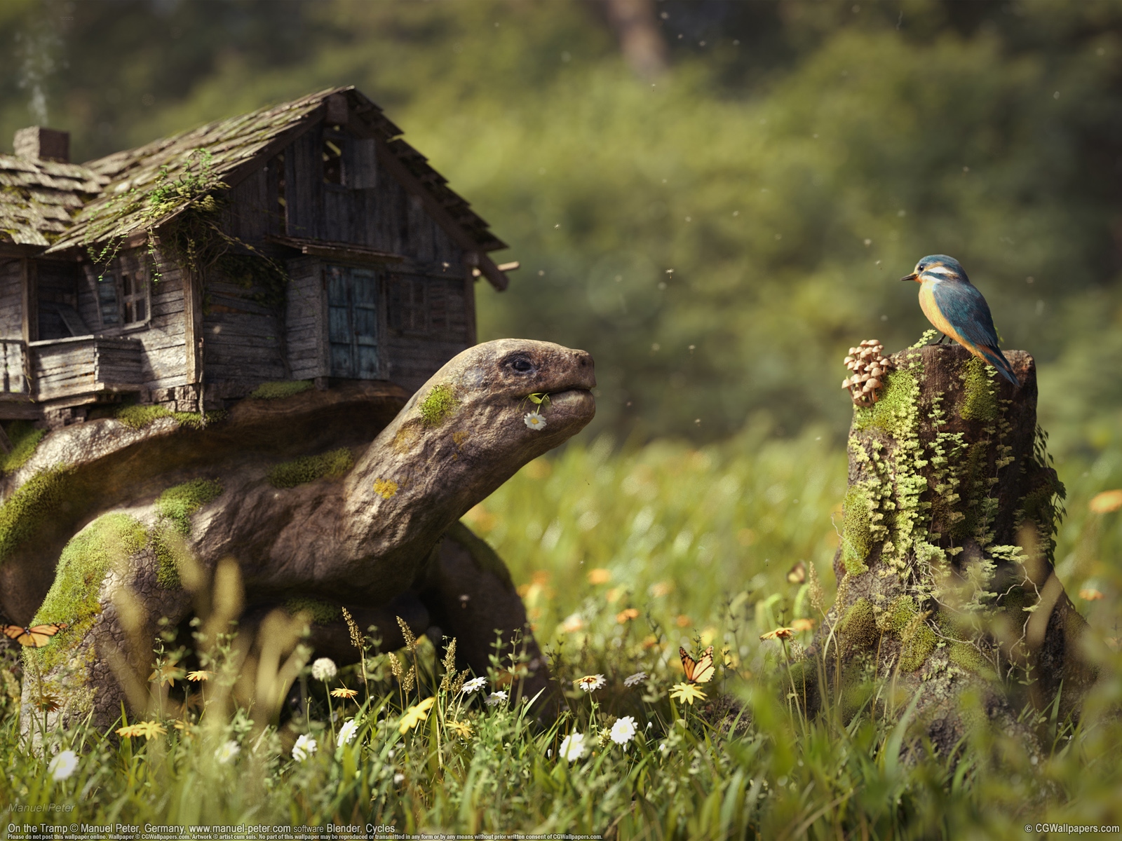 Manuel Peter 1600 fondo de escritorio 02