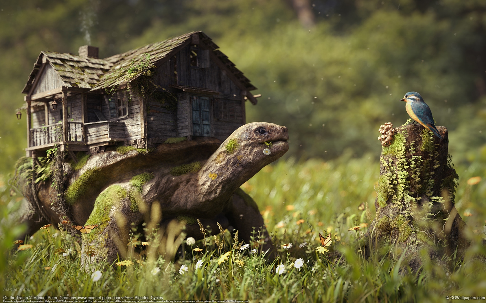 Manuel Peter 1680x1050 fondo de escritorio 02